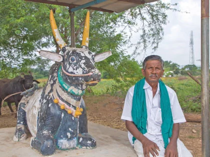 காளைக்குச் சிலைவைத்து வணங்கும் விவசாயி!