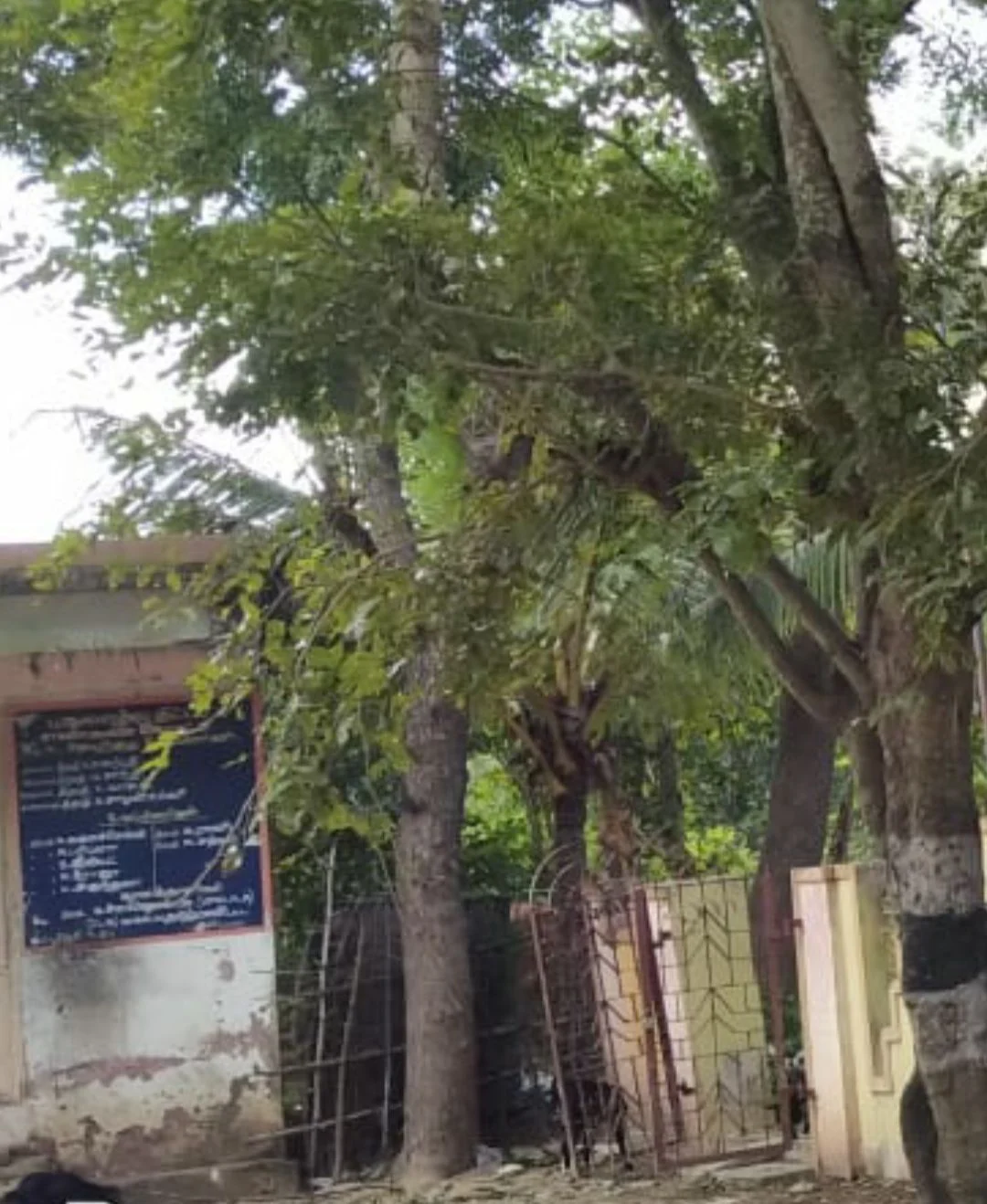 எண்கண் ஊராட்சி
