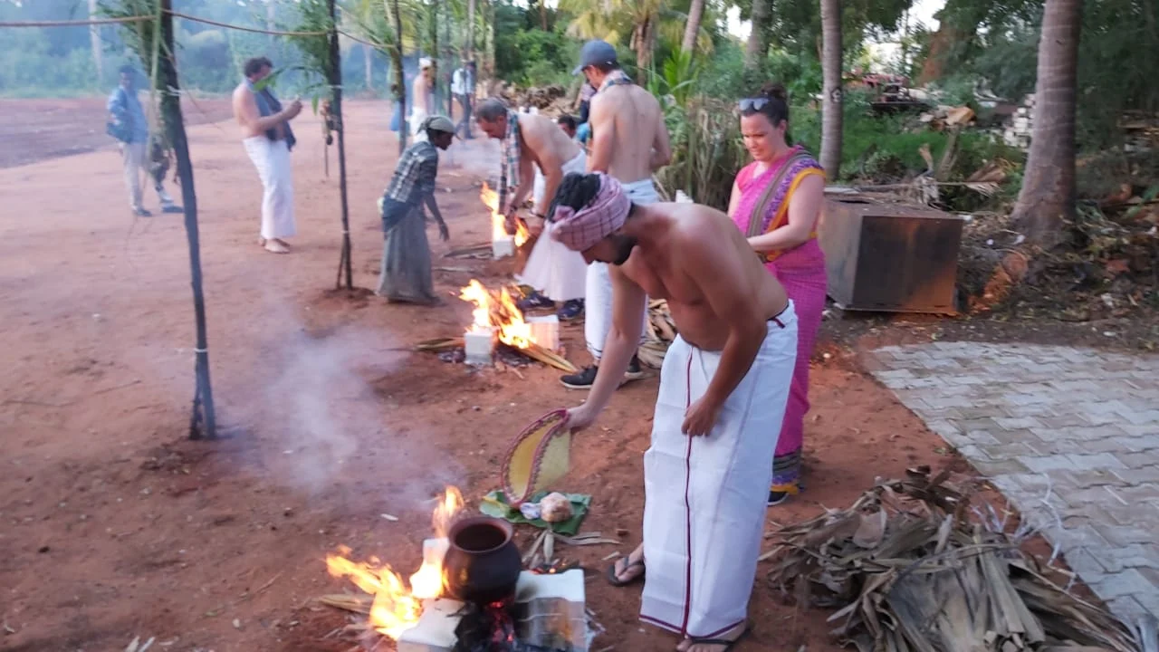 பொங்கல்