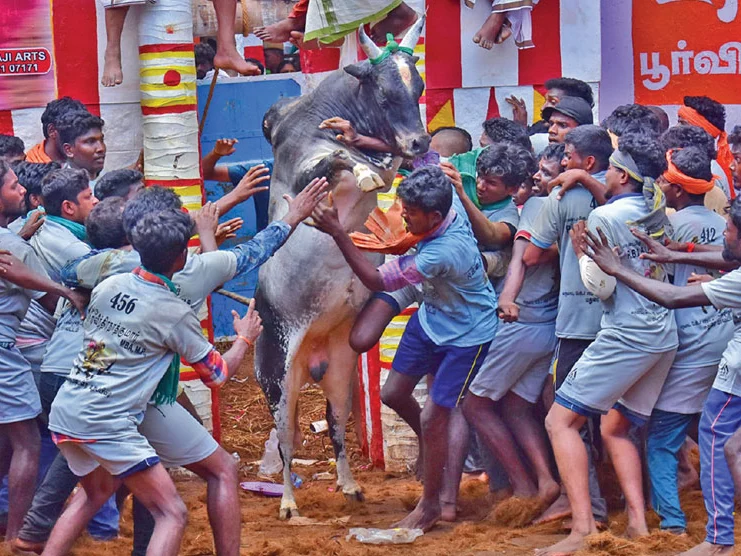 வீரர்களுக்குத் தடியடி... ரசிகர்களுக்குக் கெடுபிடி