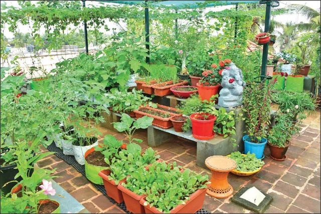 Home Garden