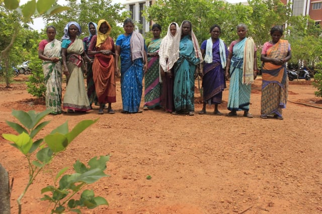 மரம் வளர்க்கும் பெண்கள்