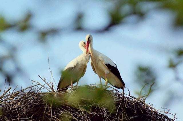 Malena with Klepetan