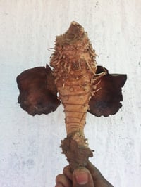 vikatan%2F2019-09%2F67a71ede-2ca8-49b7-a47d-4120e1a2e96d%2F011.jpg?w=200&auto=format%2Ccompress