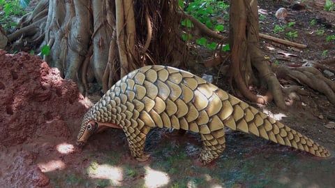 Bildergebnis für எறும்பு தின்னி