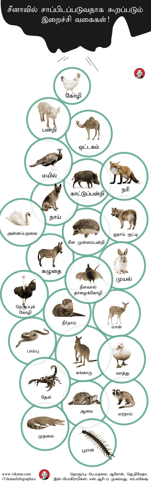 சீன இறைச்சி வகைகள்