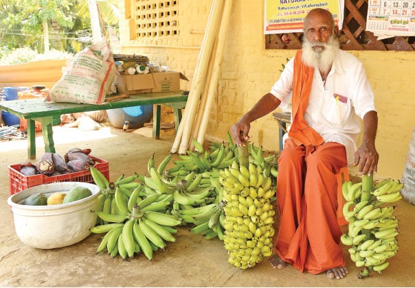 வாழை + தென்னை + பாக்குக் கூட்டணி! - 6 ஏக்கர், ரூ.11 லட்சம்!