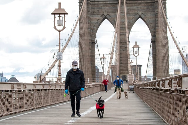 நியூயார்க்