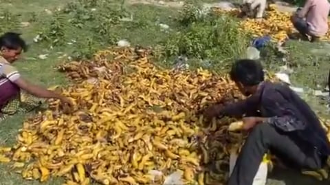 தொழிலாளர்கள்