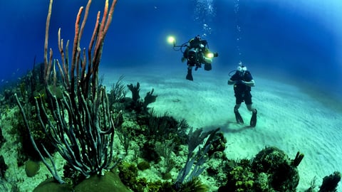 கடலியல் ஆய்வு