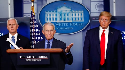 ஃபாஸி - ட்ரம்ப்