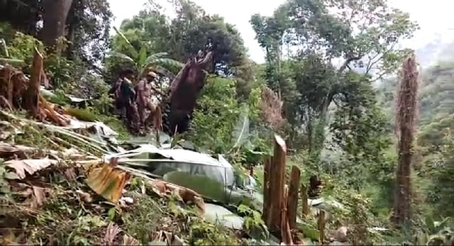 வெட்டப்பட்ட வாழை