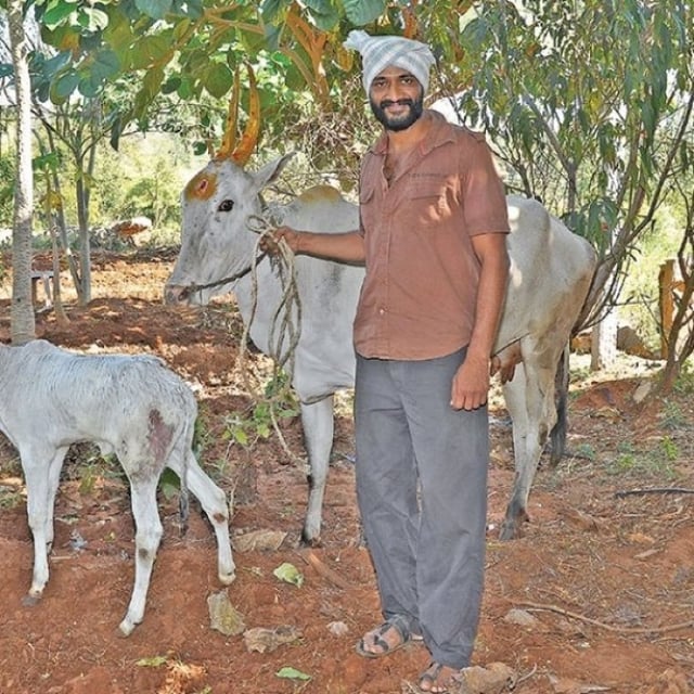 நாட்டு மாடுகளுடன் கிஷோர்