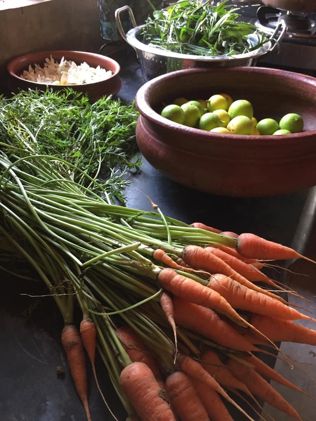 தோட்டத்தில் விளைந்த விளை பொருள்கள்