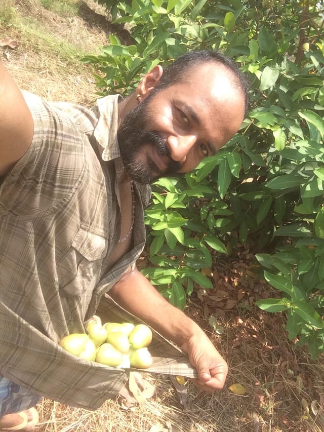 தோட்டத்தில் கிஷோர்